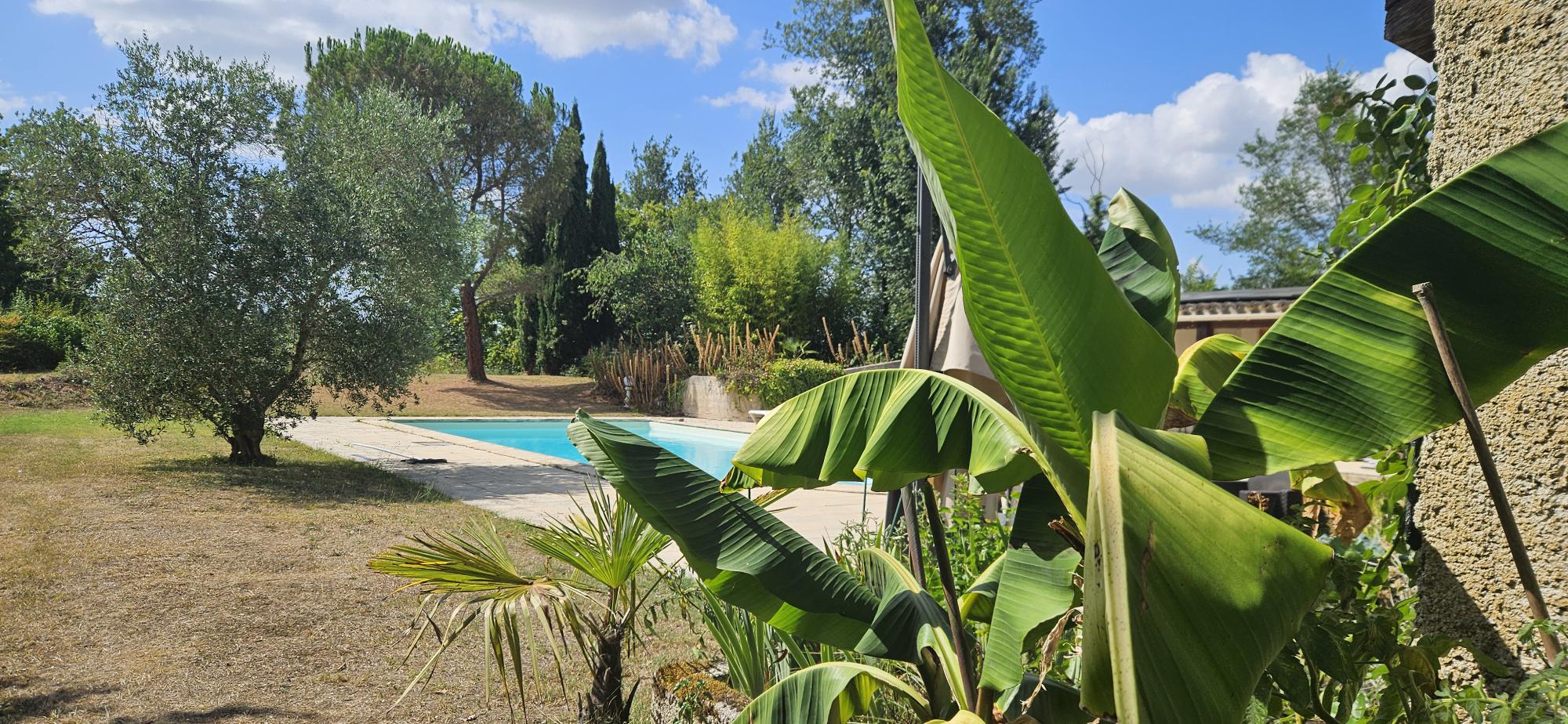 Domaine de Figarol foto 14