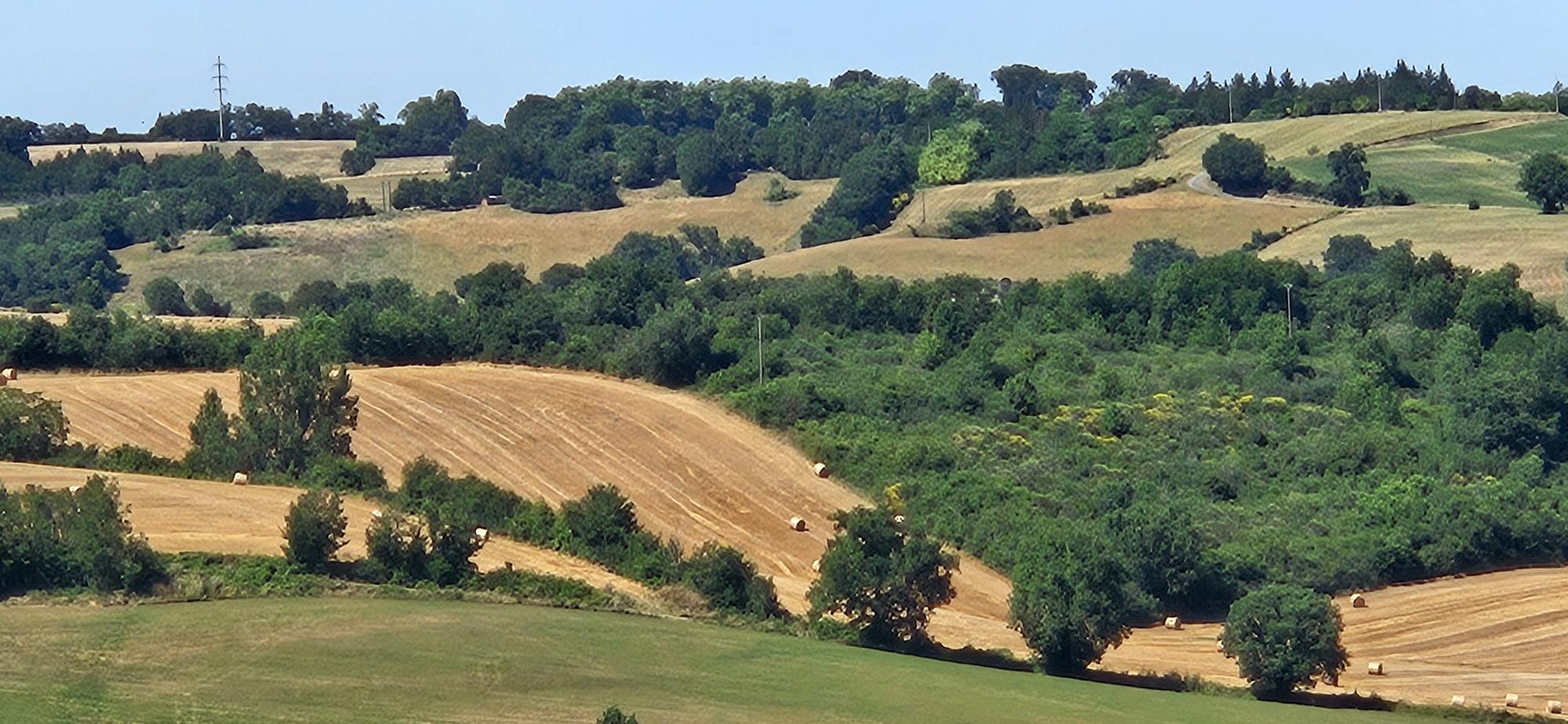 Domaine de Figarol foto 17