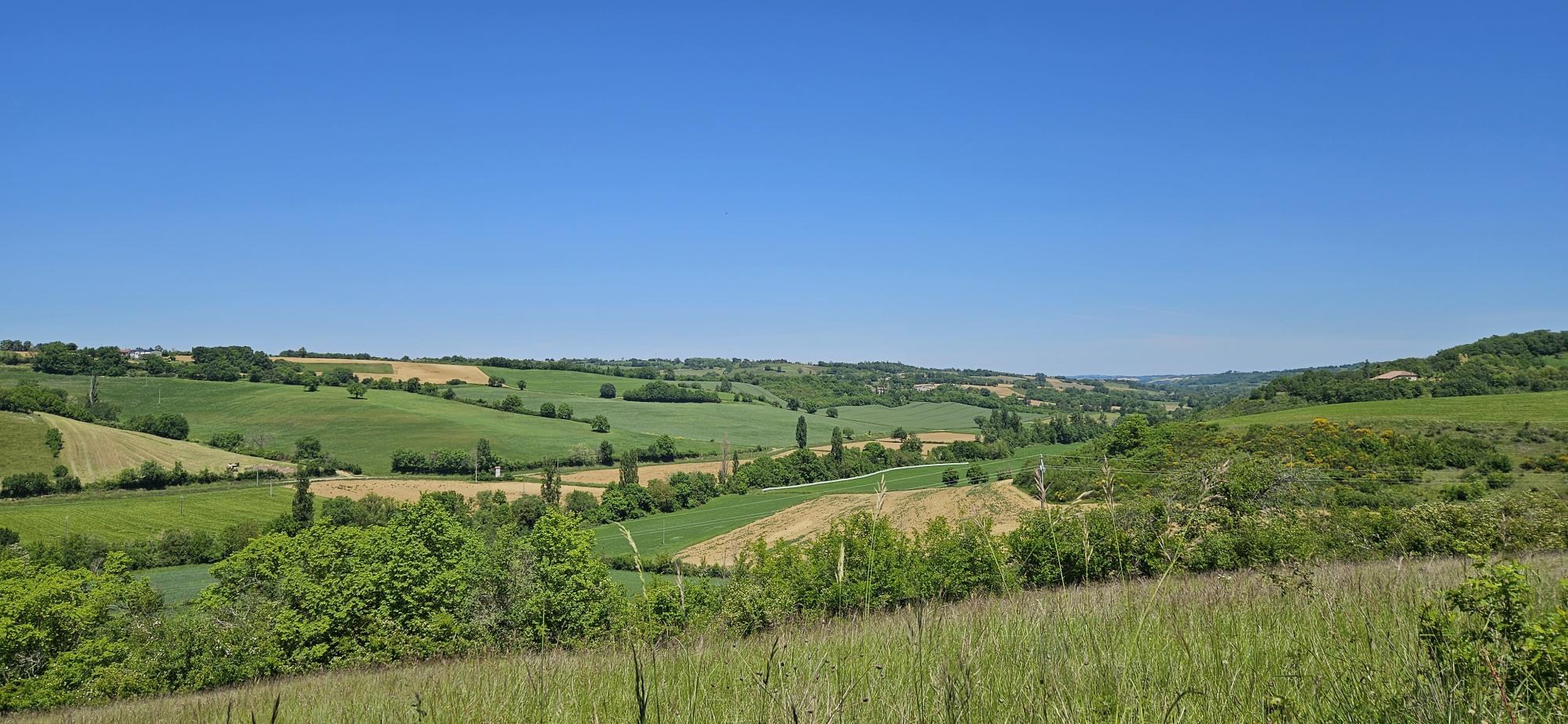 Domaine de Figarol foto 2