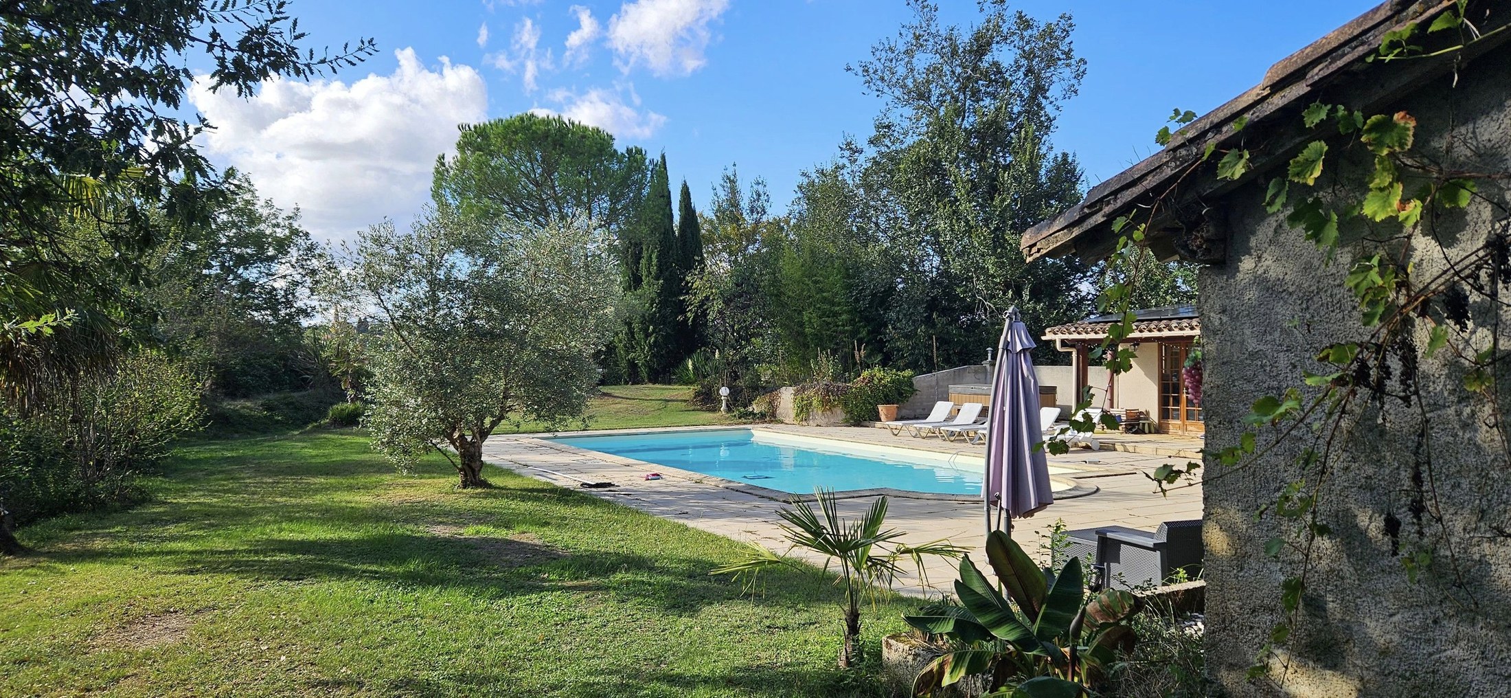Domaine de Figarol foto 16